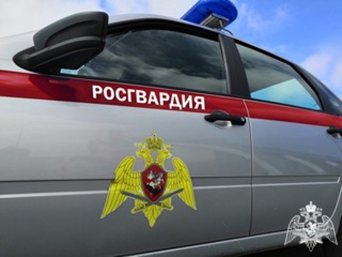  Росгвардейцы задержали вора в одном из гипермаркетов Иванова 
