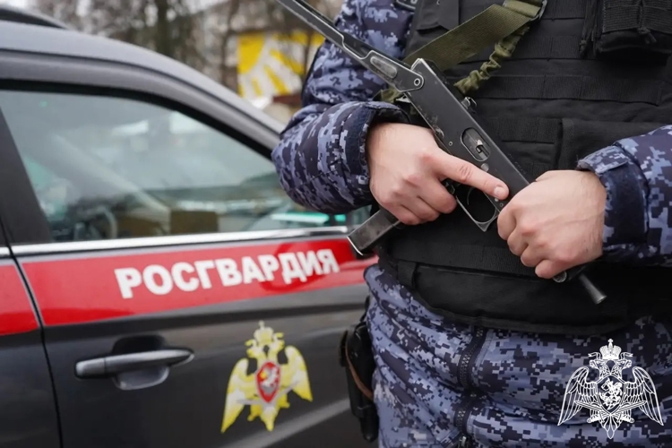 Сотрудники Росгвардии задержали подозреваемых в краже продуктов из магазина в Шуе