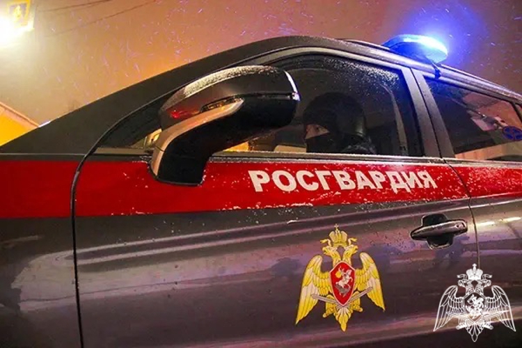 Результаты работы подразделений вневедомственной охраны и лицензионно-разрешительной работы Росгвардии за прошедшую неделю в Ивановской области